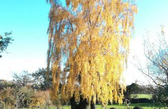 Apartment Appartement mit Wallbox by Interhome - Foto 50