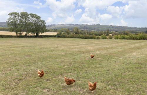 Beautiful Self Contained Studio Home in Rural Toddington - Foto 16