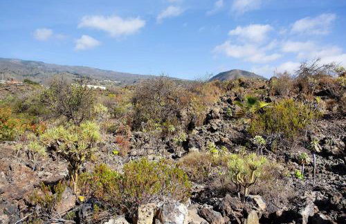 Minipiso Tejina de Isora - Foto 20