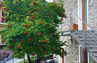 Ca' Berti Teglio - Foto 31