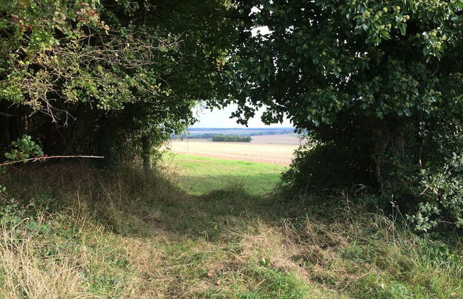 Shepherds Barn - Foto 19