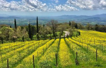 VALDONICA WINERY Fine Dine & Wine Hotel - Foto 29