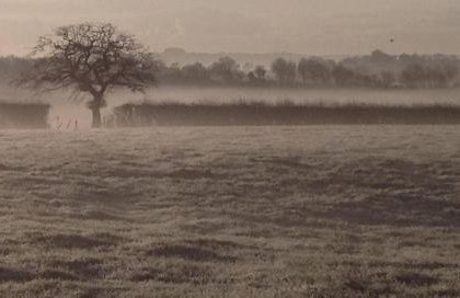 Bull Farm Studios - Foto 48