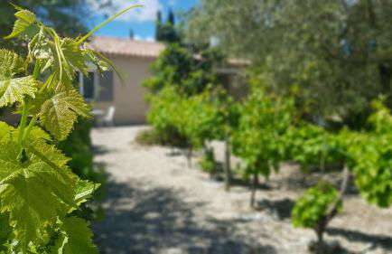 La maison des Amis - Foto 24