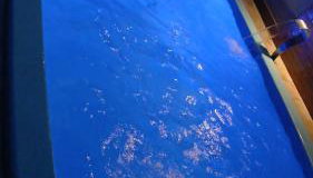 Chácara Vô Chico - Foto 2