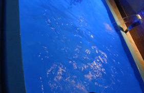 Chácara Vô Chico - Foto 2