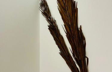 Refugio do Gato - Foto 42