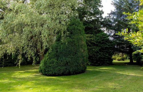 5 Bed in Perth oc-96399 - Photo 20