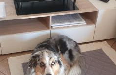 Apartment Cà Dai Noni - Family & Pet Friendly - Terrace - Near Lake Maggiore - Foto 12