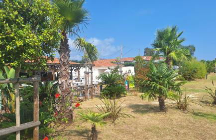 Casa Giul' Poggio Mezzana - Foto 54