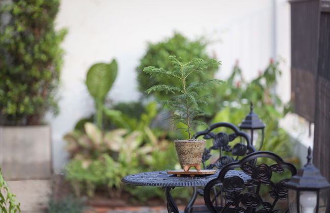 Nan Garden House - Foto 36