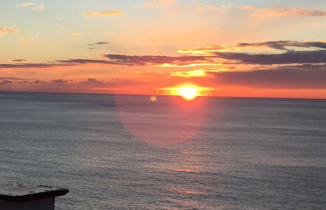 Sol Levante - Foto 119