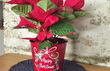 Una ventana al Mar en Málaga - Photo 21