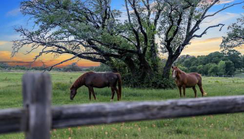 Container Home with Rooftop Views and Pickleball - Foto 4