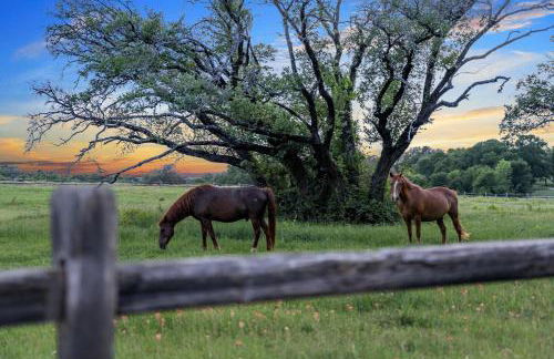 Container Home with Rooftop Views and Pickleball - Foto 4