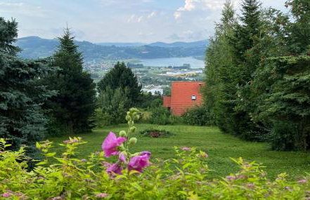 Domek z widokiem na jezioro Rożnowskie - Foto 1