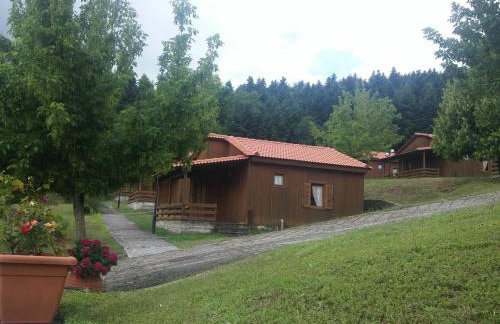 Livadaki Village - Δασικό Χωριό Λιβαδάκι - Foto 63