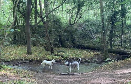 Number 26 Van Dyk Village - Foto 26