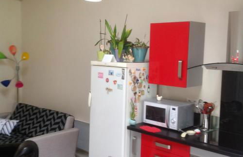 Petit coin de paradis avec jardin clôturé à Auch - Photo 8