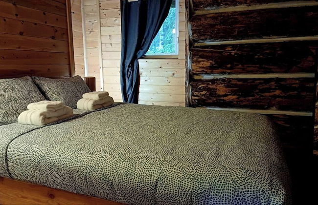 Rustic Beaverfoot Lodge Dream Cabin - Photo 6