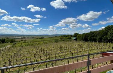 Kuća za odmor Baron - Foto 20