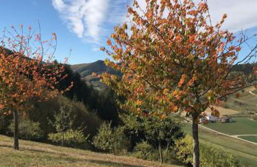 Ferienwohnung Hesselbach - Foto 24