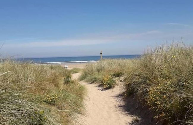 Ballymultimber Cottages - Foto 48