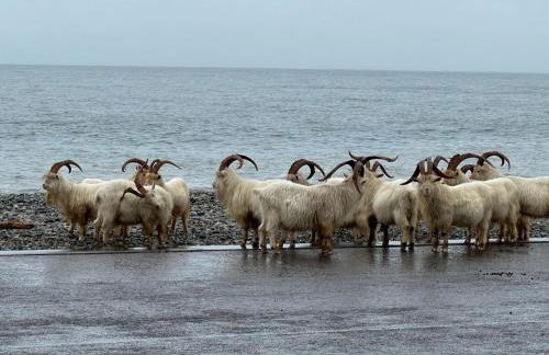 Modern Chapel Stay at Trinity - Foto 26