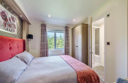 Red Robin - Uk49581 - Foto 8