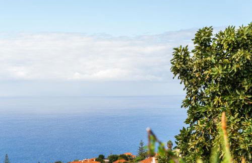 Casa Estrela Dos Reis - Foto 6