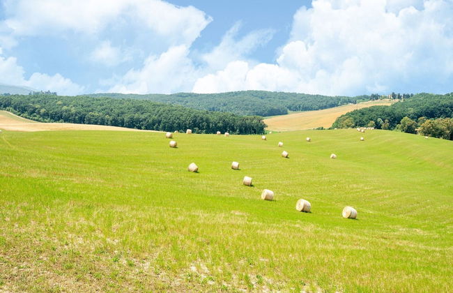 Apartment in Collesalvetti Near Pisa - Foto 33