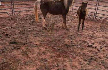 Denim and Diamonds - Foto 28