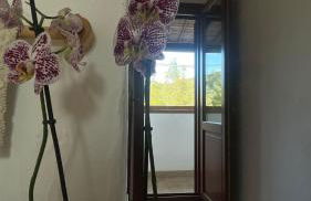 Matta e Sole - Foto 28