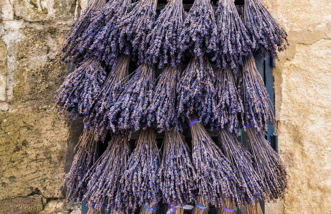 Excursion à Roussillon, Gordes et Lourmarin + Dégustation de vins - Photo 1