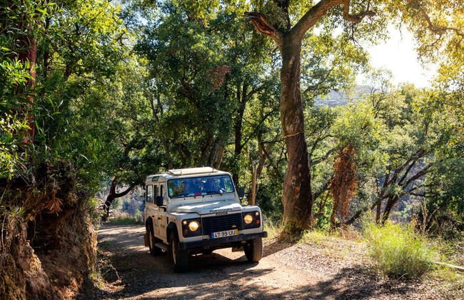 Algarve 4x4 Day Trip - Photo 3