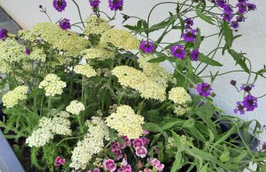 Apartments bei Playmobil EG,130m2,große Terassen,24h Self Check-in, free Parking - Foto 31