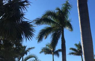 Near Beaches & IMG Academy, Mins to Downtown Oasis Villa Retreat - Photo 19