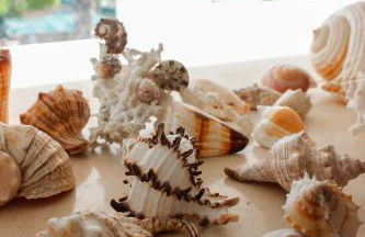 Villa Blue Horizon - Foto 26