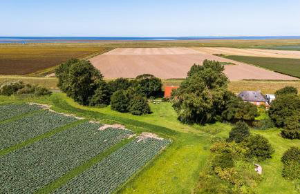 Ferienhaus Deichkind 25 Büsum - Photo 54