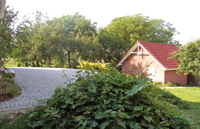 Pękowice - Foto 20