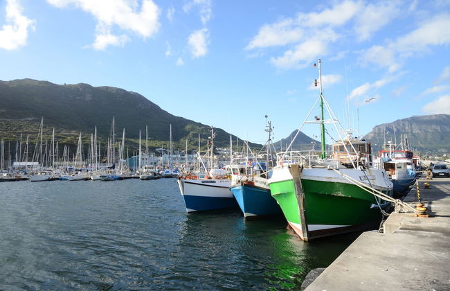 dk villas 1 Harbour View Hout Bay - Photo 60