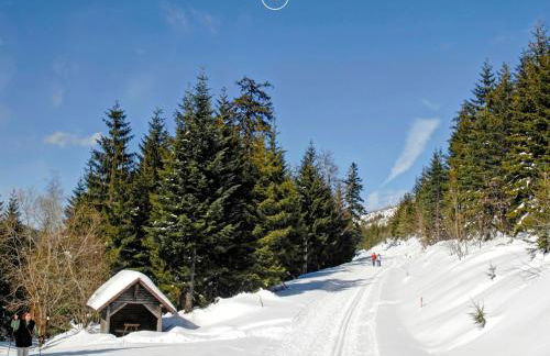 Waldklang Refugium Schwarzwald - eingezäunt - Außen-Sauna - Tischkicker - Billard - Foto 79