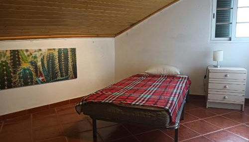 Palm Comfort - Foto 4