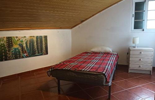 Palm Comfort - Foto 4