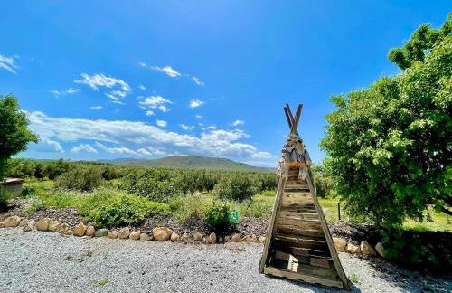 Beautiful Teepee with private facilities - Foto 15