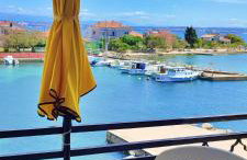 Sea garden Grilov - Foto 24