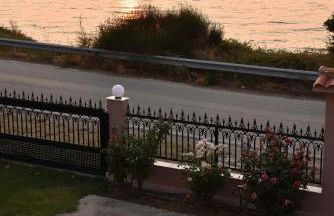 Salt and petals - Foto 51