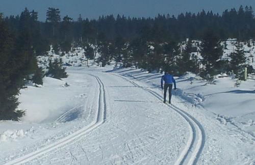 Apartment Fewo Kranichsee WGH by Interhome - Foto 14