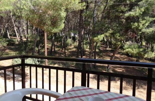 Maik Apartments - Foto 71