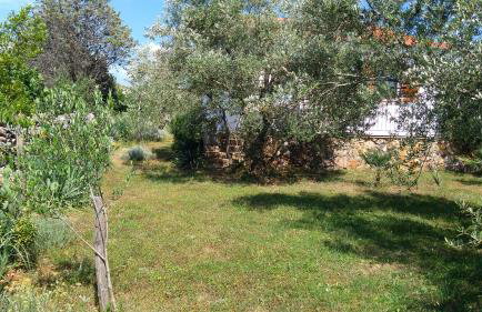 Apartman Ruža - Photo 7